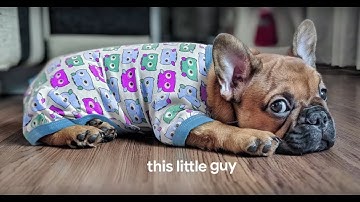 Perfect portraits | Google Pixel 2