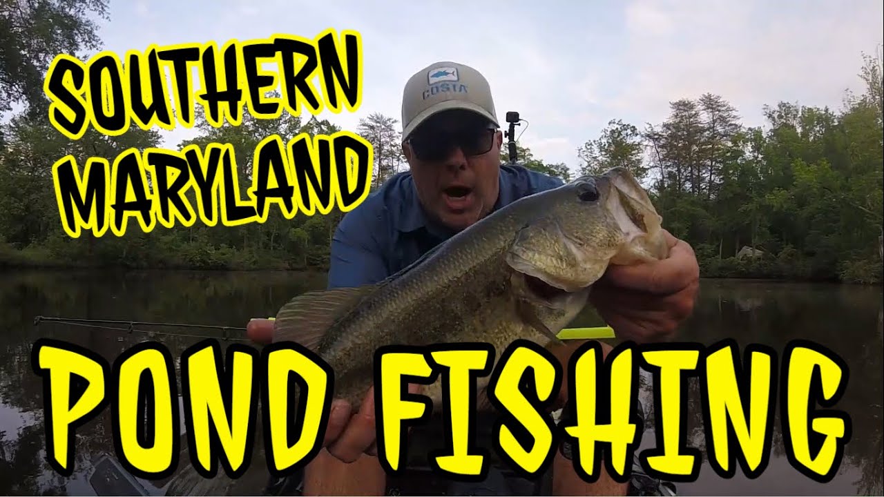 Southern Maryland Pond Fishing - YouTube