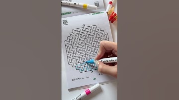 Maze Challenge _ 11 #maze #mazegaming #puzzlegame #fidgettoys #labyrinth #puzzle