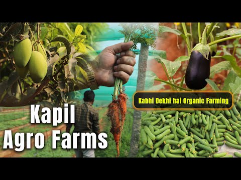 Fruits and Vegetables Organic Farming At Kapil Agro Farms | Karan Dua | Dilsefoodie Official