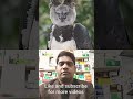 পৃথিবীর সব থেকে খাদক পাখি #shortsviral #birds #shorts