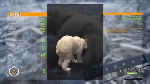 theHunter: Call of the Wild 630