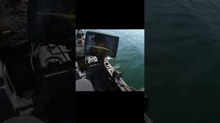 Lake Simcoe fall Smallie