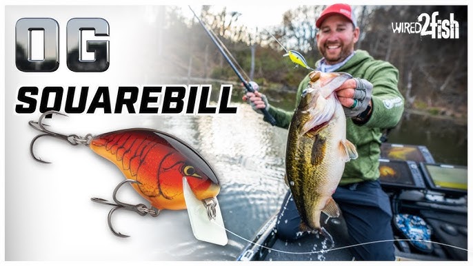 Everything You Need To Know About Squarebills and Shallow Crankbaits! (Full  Seminar) 