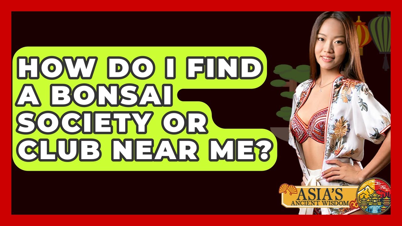 How Do I Find A Bonsai Society Or Club Near Me? - Asia's Ancient Wisdom