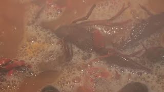 Mais La Seafood builds following both online and at the boil