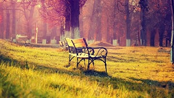 تلاوة رائعة لما تيسر من سورة النمل