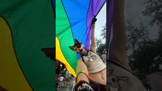 Happy pride to of my friends out there 🩷 #therian #pride #lgbt #cattherian