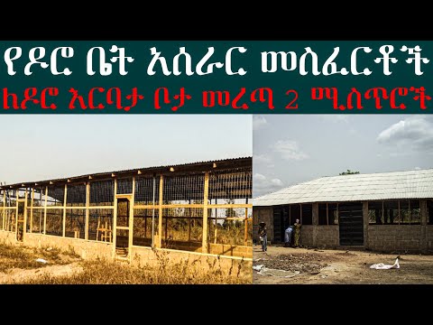 ቪዲዮ: በቤት ውስጥ የዶሮ ስጋን እንዴት ማብሰል እንደሚቻል