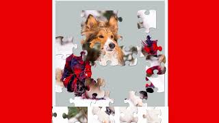 Solving Dog Puzzle screenshot 5