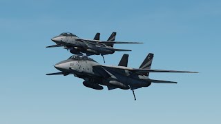 Famous DCS F-14 Sound Mod Ground View (Outdated) Net Worth