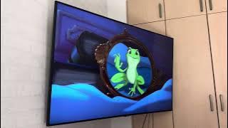 Opening to Old Dogs 2010 Singaporean VCD