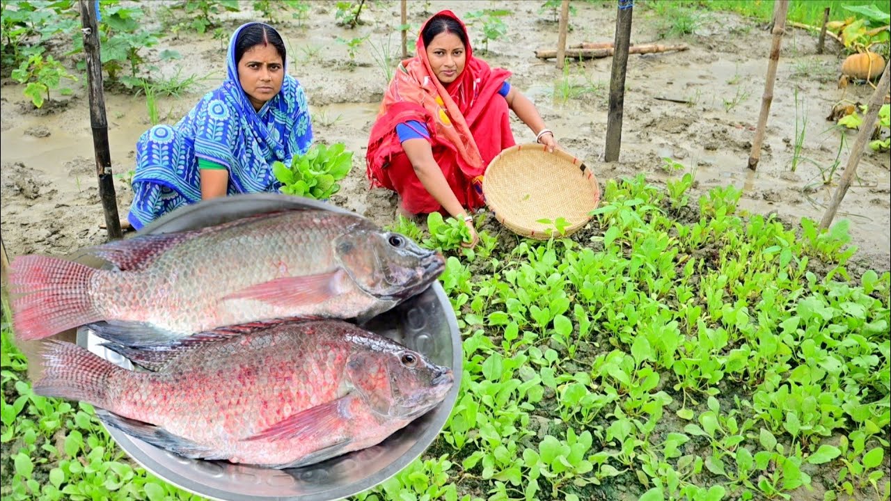 তেলাপিয়া মাছের তেলঝাল আর বাগানের পালং শাকের ঘন্ট রান্না সাথে দুপুরে ভাত খাওয়া