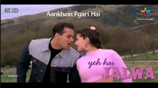 Aankhein Pyari Hai || YEH HAI JALWA || Salman Khan&Amisha Patel || Full Video Song