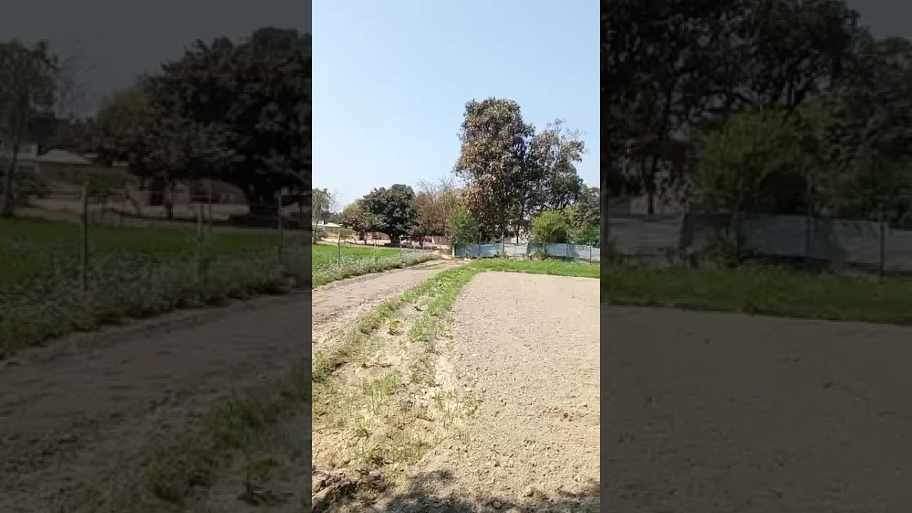 #Holi#agriculture#raebareli