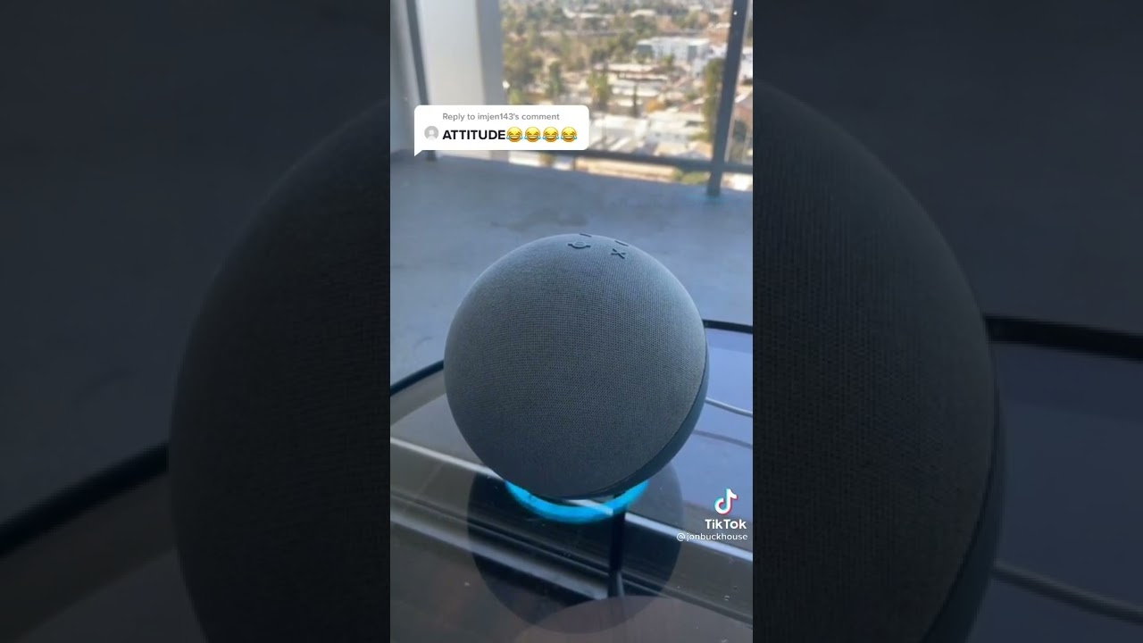 Alexa they say you have ATTITUDE 😁😂