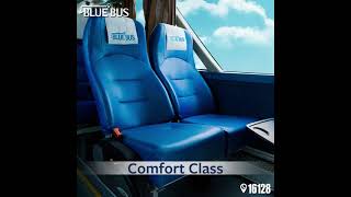 Blue Bus | Private Bus Charter