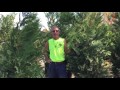 Landscape Gardeners Near Me
