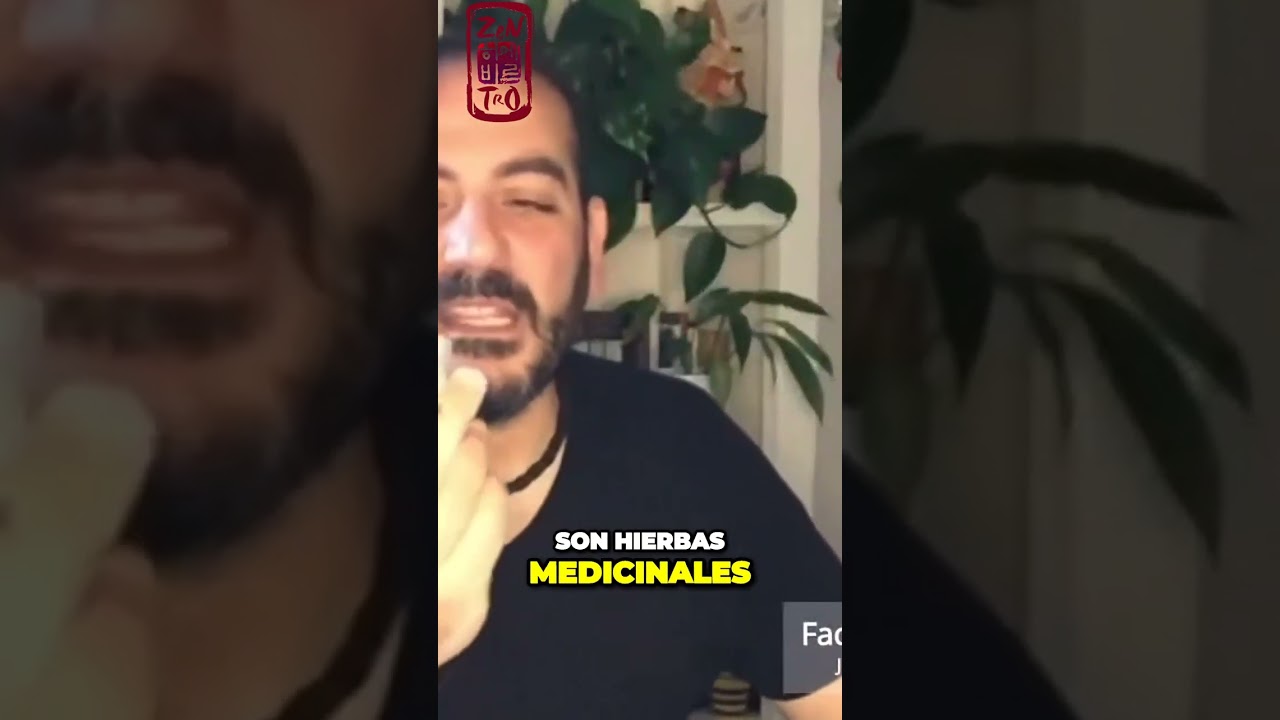 La moxa: hierba legal que alcanza los 400 grados Celsius.