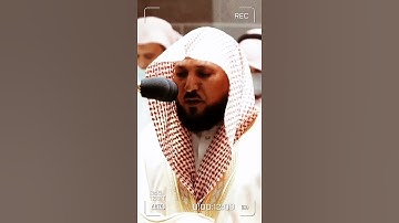 تلاوة مرئية سورة العنكبوت الآيات من ٢٤ إلى ٢٥ الشيخ ماهر المعيقلي