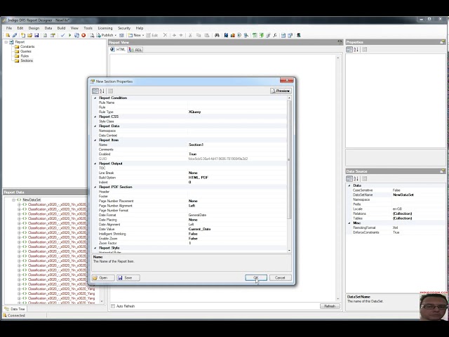 Indigo DRD Data Reporting System AI / Machine Learning Decision Tree Part 1