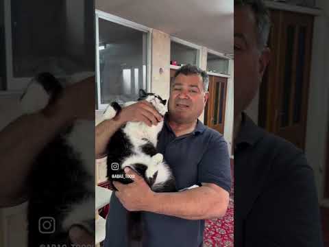 مرگ میو با 1تن وزن حامی حیوانات