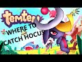 WHERE TO FIND / CATCH HOCOS  IN TEMTEM