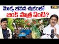 The Secret Role of Zinc in Plant Growth 🌿 - Episode -25 | Rajasekhar Reddy | Journalist YNR