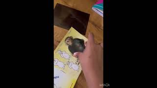 3D Magic book 💥💥