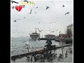 حمام يا الي با الغصون