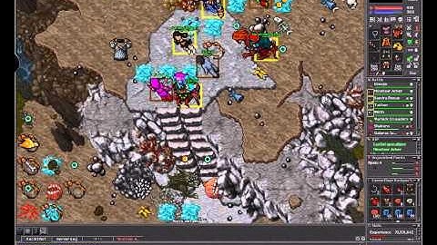 Tibia Ioná Reapers Dominado