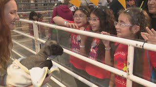 'AgVenture' exhibit at RodeoHouston showcases agriculture, live animals