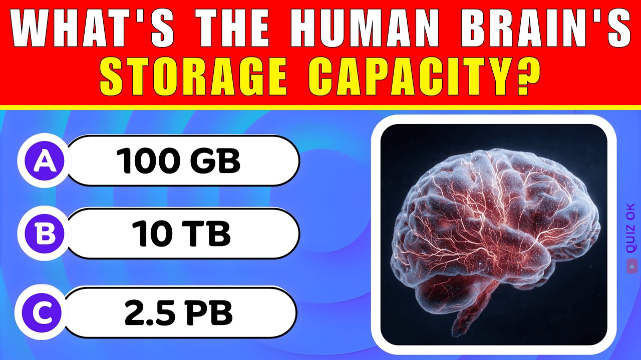 Сколько гигабайт памяти вмещает человеческий мозг? | Викторина на общие знания | 