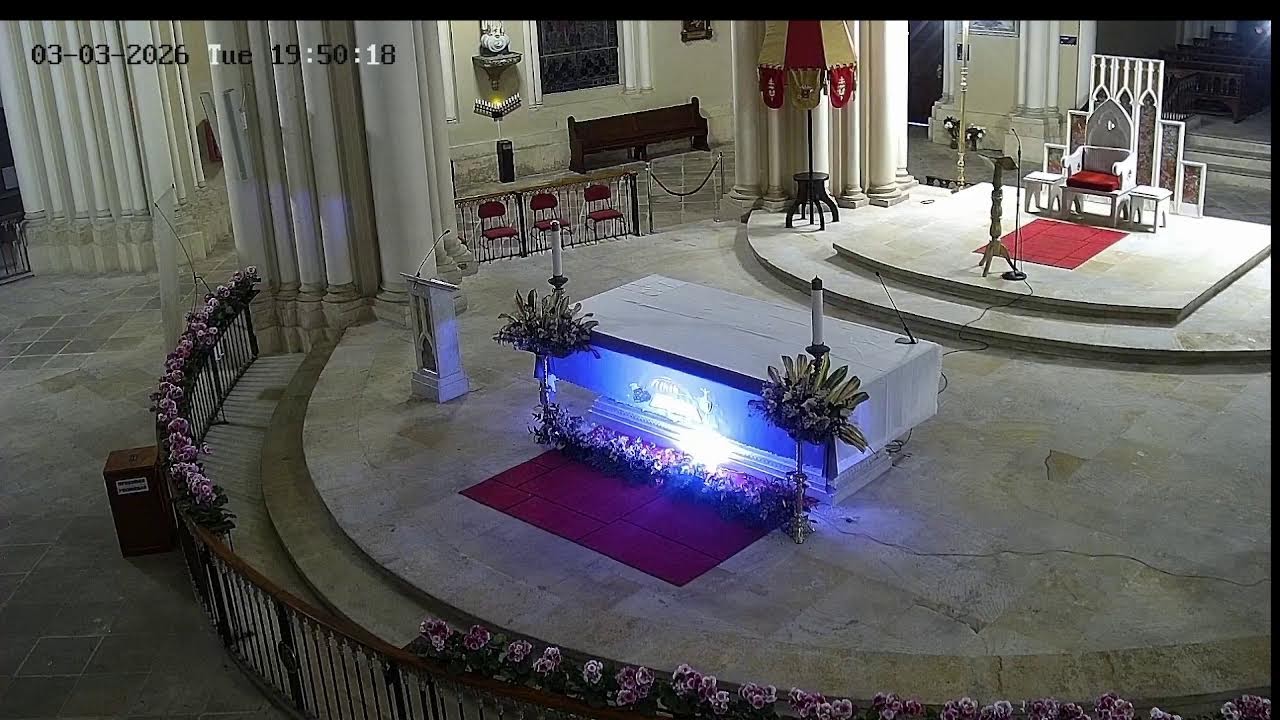 Transmisión Eucaristía Basílica de Lourdes   2024