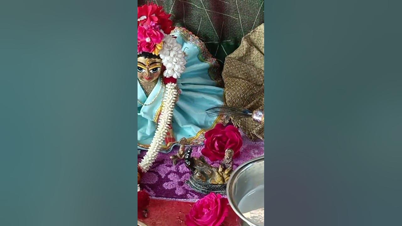 holi bihari song