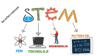 STEM Eğitimi Nedir?