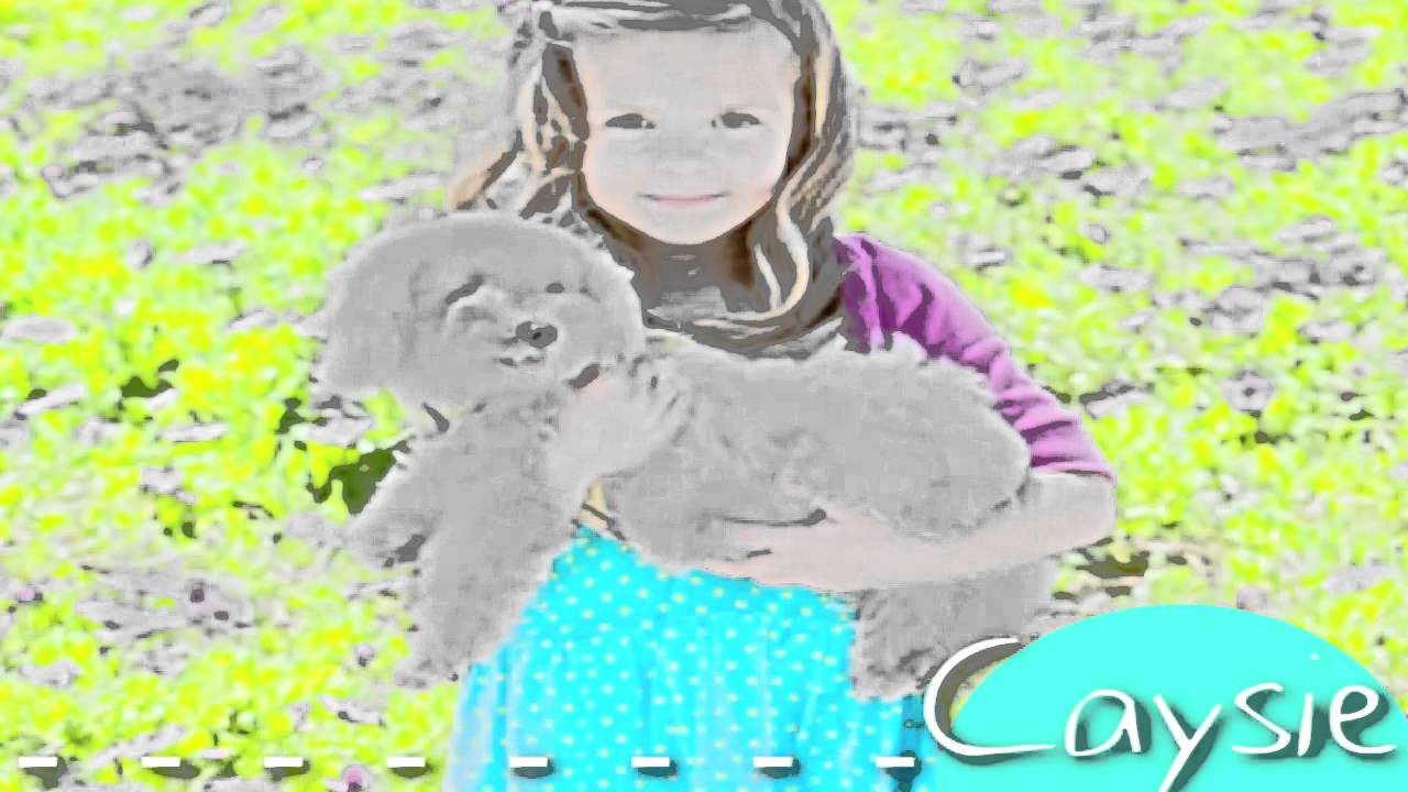 Pocketful of Sunshine YouTube