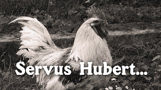 Servus Hubert...