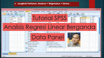Kuliah Online-Tutorial SPSS Regresi Linear Data Panel .. Calon Sarjana Wajib Buka!!