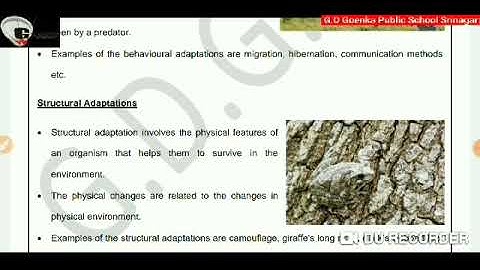 Grade 4 EVS  Adaptation in Plants & Animals 14 06 2021 Monday Week 16