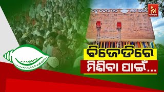 Sankha Bhawan Echoes With Enthusiasm As BJD's Supporters Gather In Force | Nandighosha TV