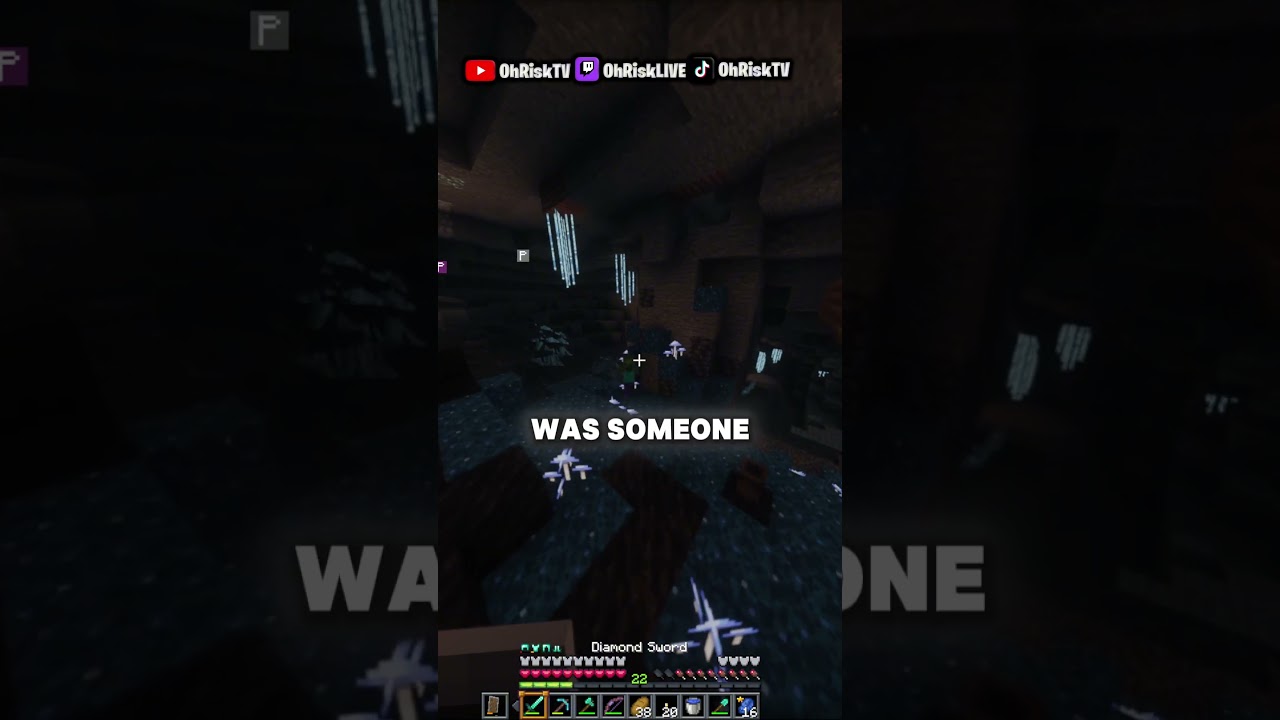 MINECRAFT, BUT FACE RELVEL