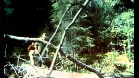 Fread Bear Grizzley Hunt!