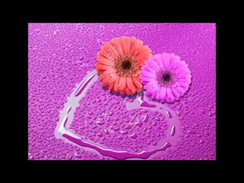 Ae mere dil e nadaan        Song mp4facebook