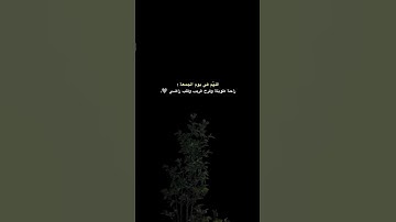 #تلاوة_خاشعة #عبدالرحمن_مسعد_تلاوة_جديدة