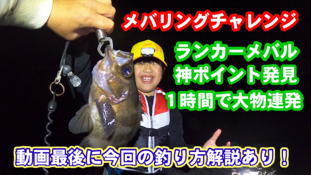 釣りキッズ メバリング ランカーメバル出まくり 21年3月 Youtube 釣りキッズ メバリング ランカーメバル出まくり 21年3月 Youtube