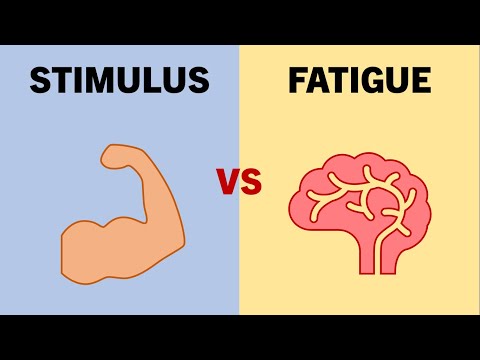 فيديو Stimulus-to-Fatigue Ratio | Exercise Selection for Hypertrophy Training