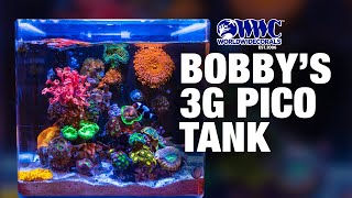 World Wide Corals 3 Gallon Pico Reef Tank Madness