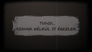 Gilányi - SZAVAK NÉLKÜL (Lyrics)
