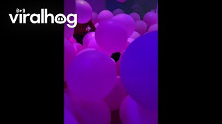 Balloon Room Surrounded by Invisible Glass || ViralHog